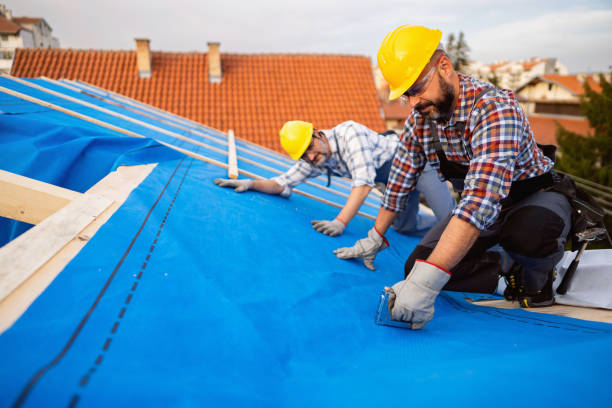 Best Roof Moss and Algae Removal  in Ferrum, VA