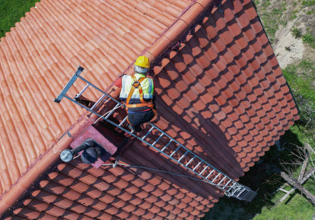 Best Roof Coating and Sealing  in Ferrum, VA